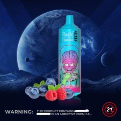 RandM Vape Erfahrung | RandM Tornado 00P2126 9000 Vape Pod Gerät 1 Stück Version 1 Blaubeer-Himbeere